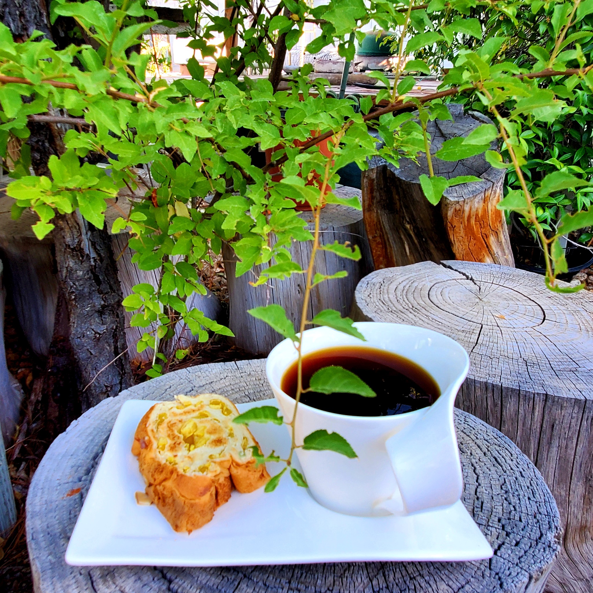Coffee and pastry in a leafy backyard